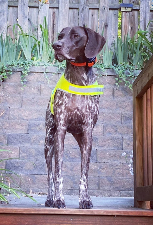 About Bird Dog Woodworks